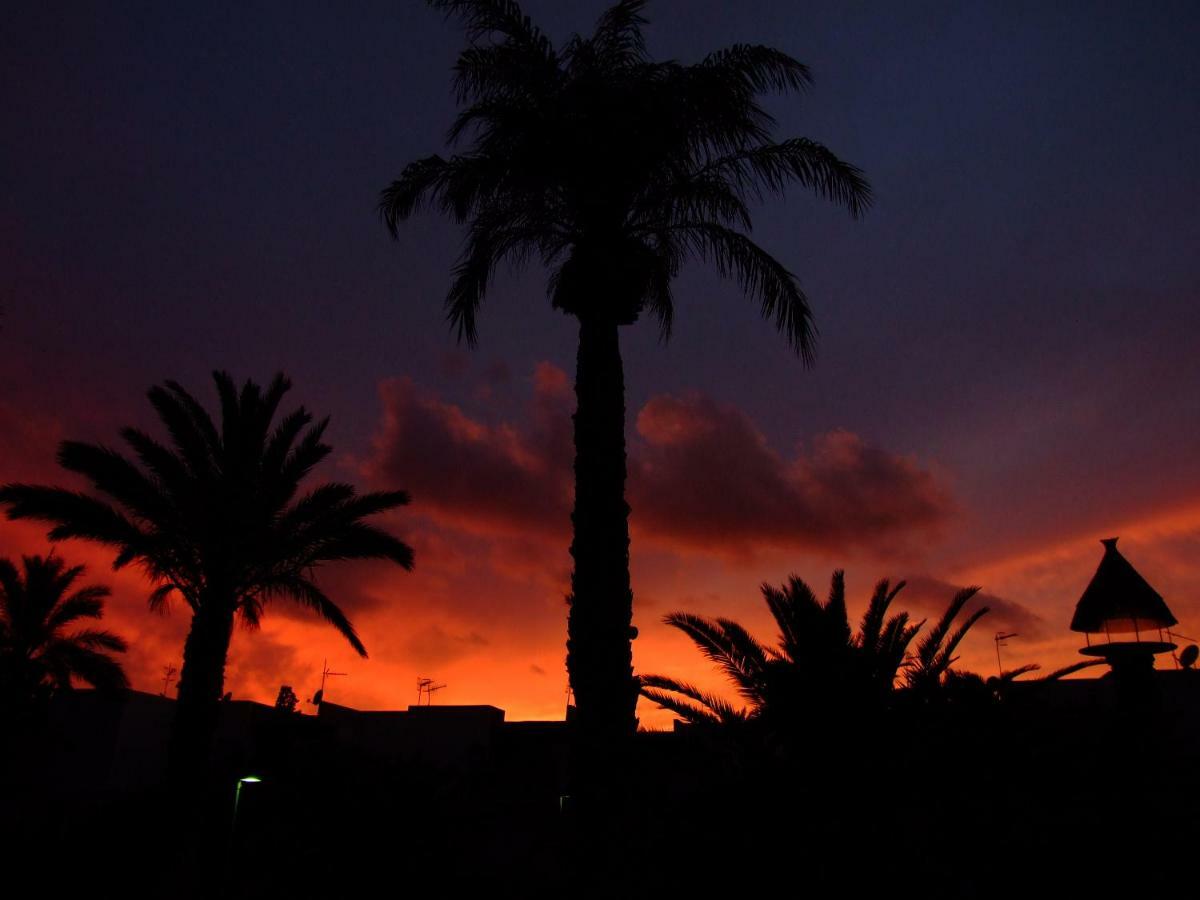 La Kasita In Primavera Daire Costa Del Silencio Dış mekan fotoğraf